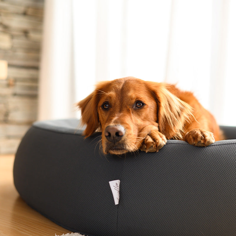 Brooklyn® Cooling Nest Dog Bed
