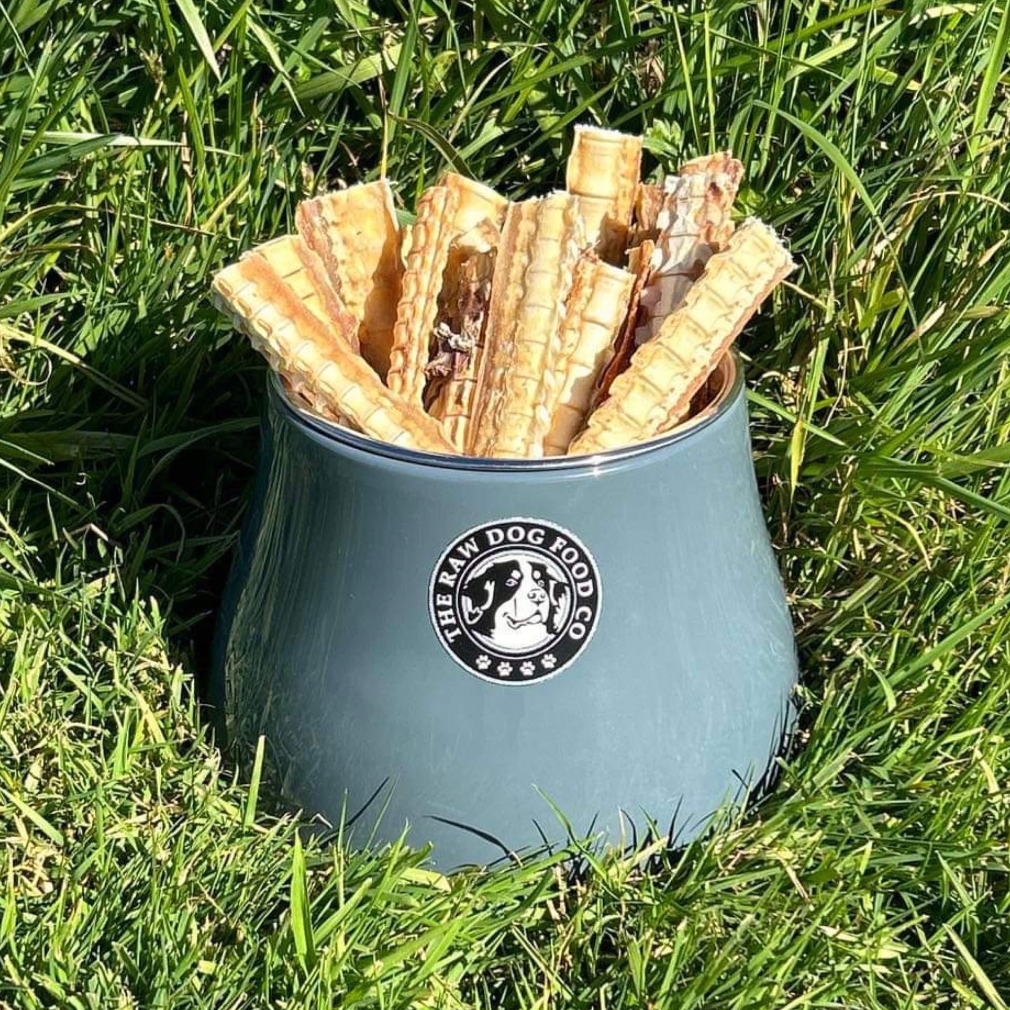 The Raw Dog Food Co Air-Dried Shark Cartilage: Natural Joint Support for Pets