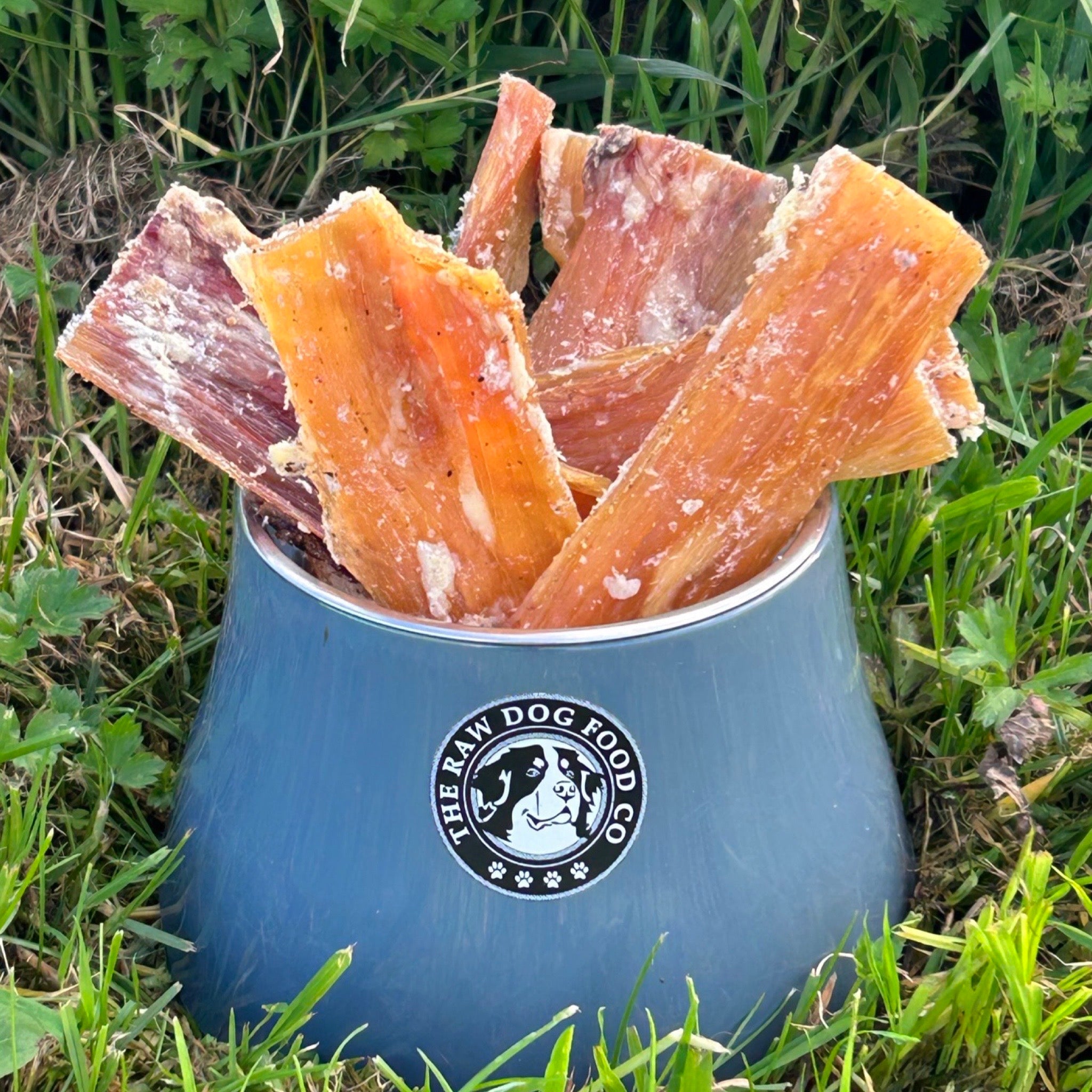 The Raw Dog Food Co Air-Dried Beef Paddywhack: Great Chew for Dogs