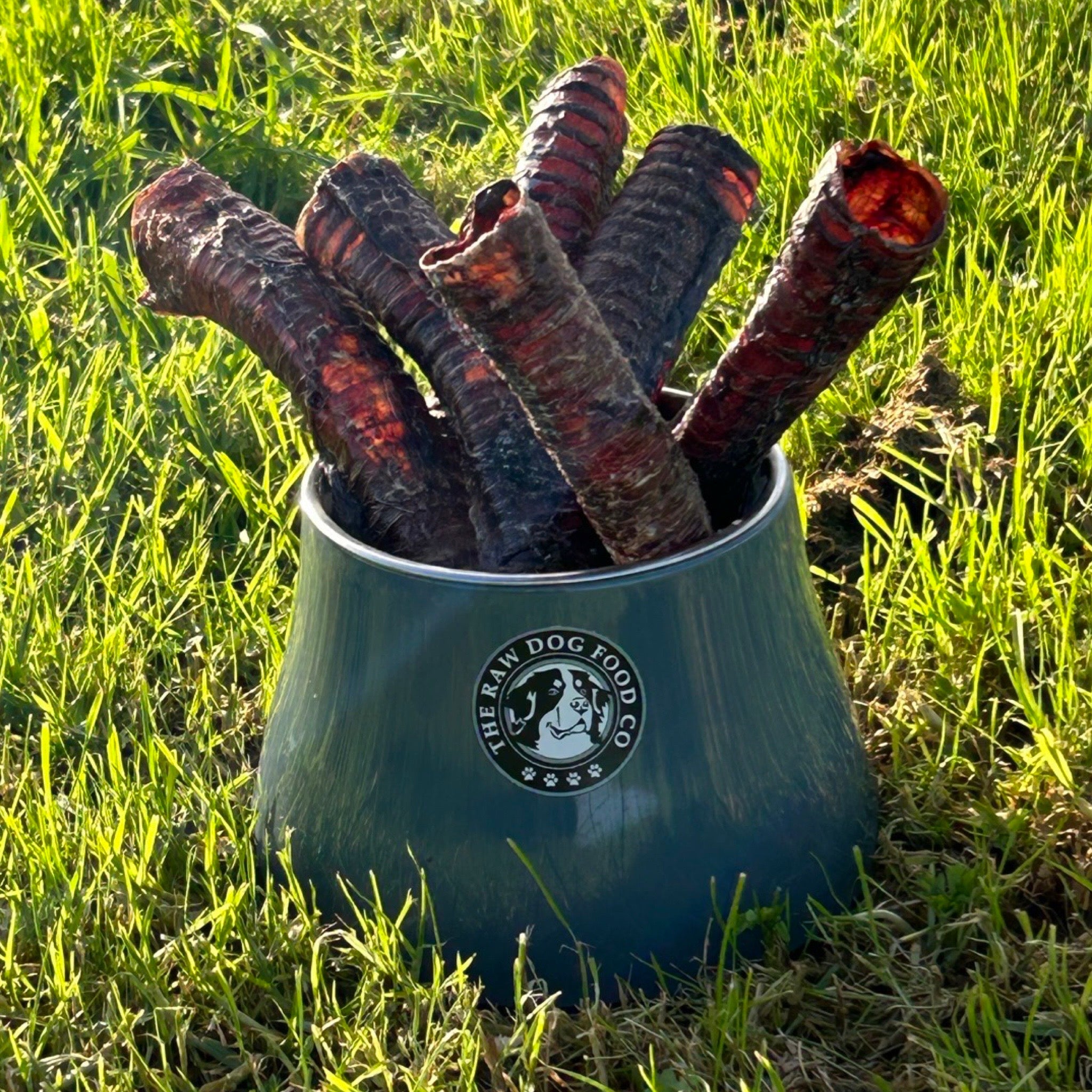 The Raw Dog Food Co Air-Dried Venison Trachea: Natural Chew for Pets' Dental Health