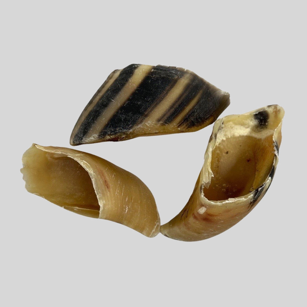 The Raw Dog Food Co Air Dried Cow Hooves: The Only Treat for Big Chewers - 3 Pack