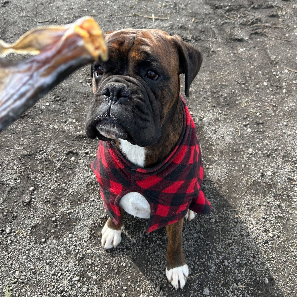 The Raw Dog Food Co Air-Dried Fish Tails: Omega 3 Treats for Pets