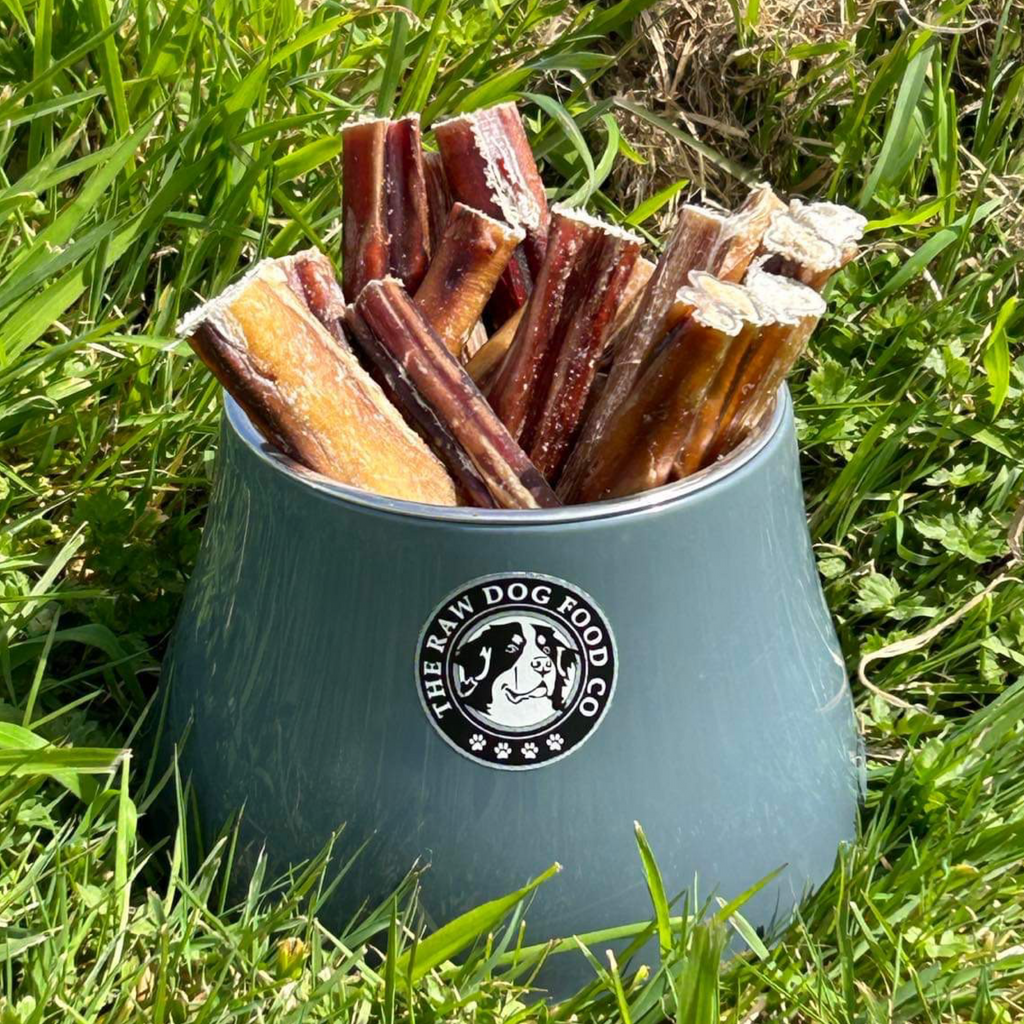 The Raw Dog Food Co Air Dried Beef Bull Pizzle Sticks: A Great Treat for Big Chewers