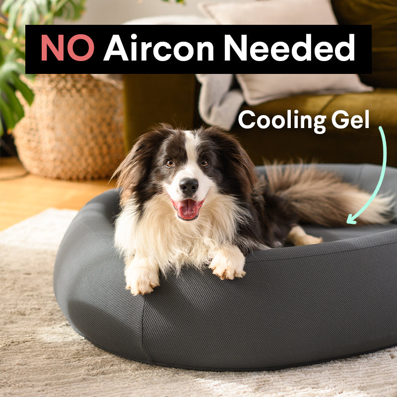 Brooklyn® Cooling Nest Dog Bed