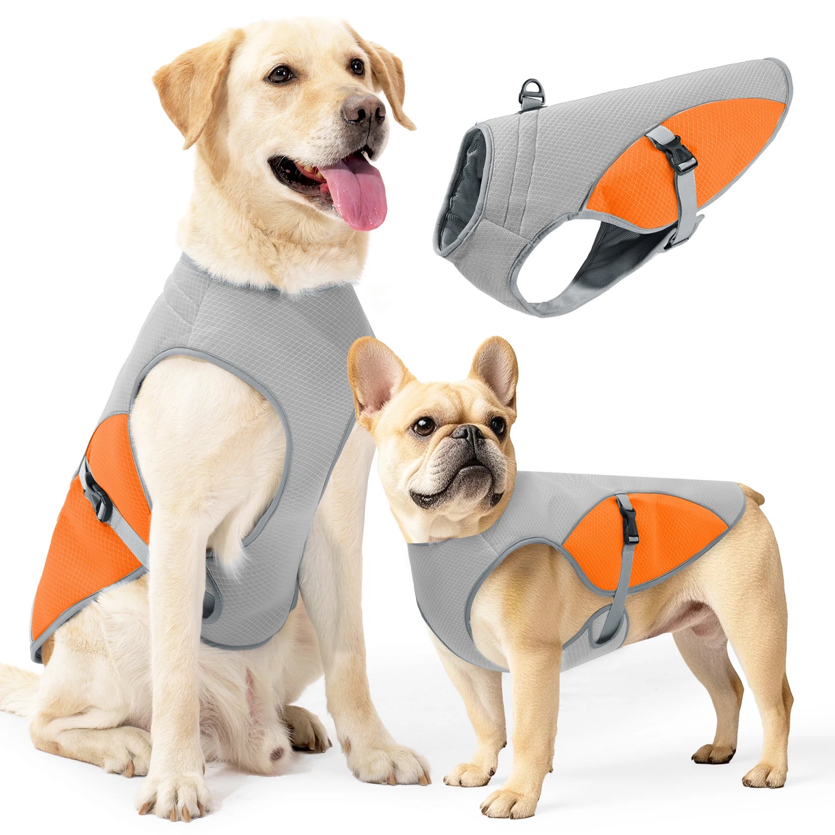 Petlo ChillStride Cooling Harness – Keep Your Dog Cool on Every Walk
