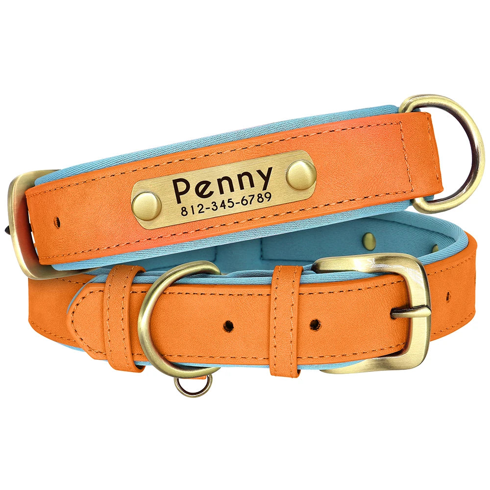 PetLo Custom Engraved PU Leather Dog Collar