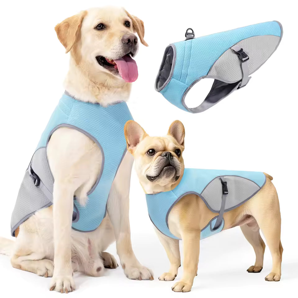 Petlo ChillStride Cooling Harness – Keep Your Dog Cool on Every Walk