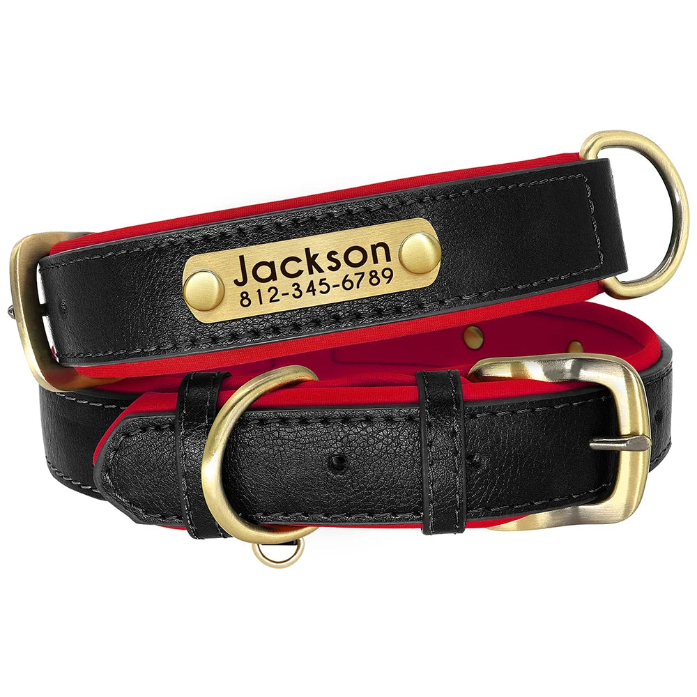 PetLo Custom Engraved PU Leather Dog Collar