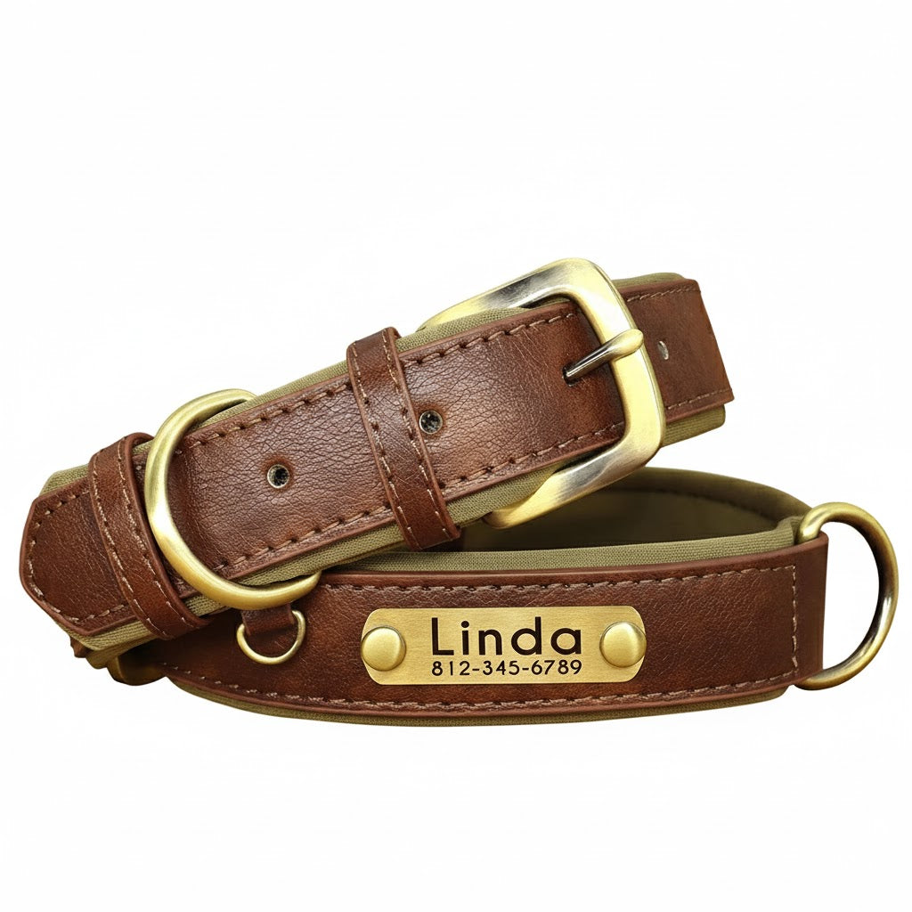 PetLo Custom Engraved PU Leather Dog Collar