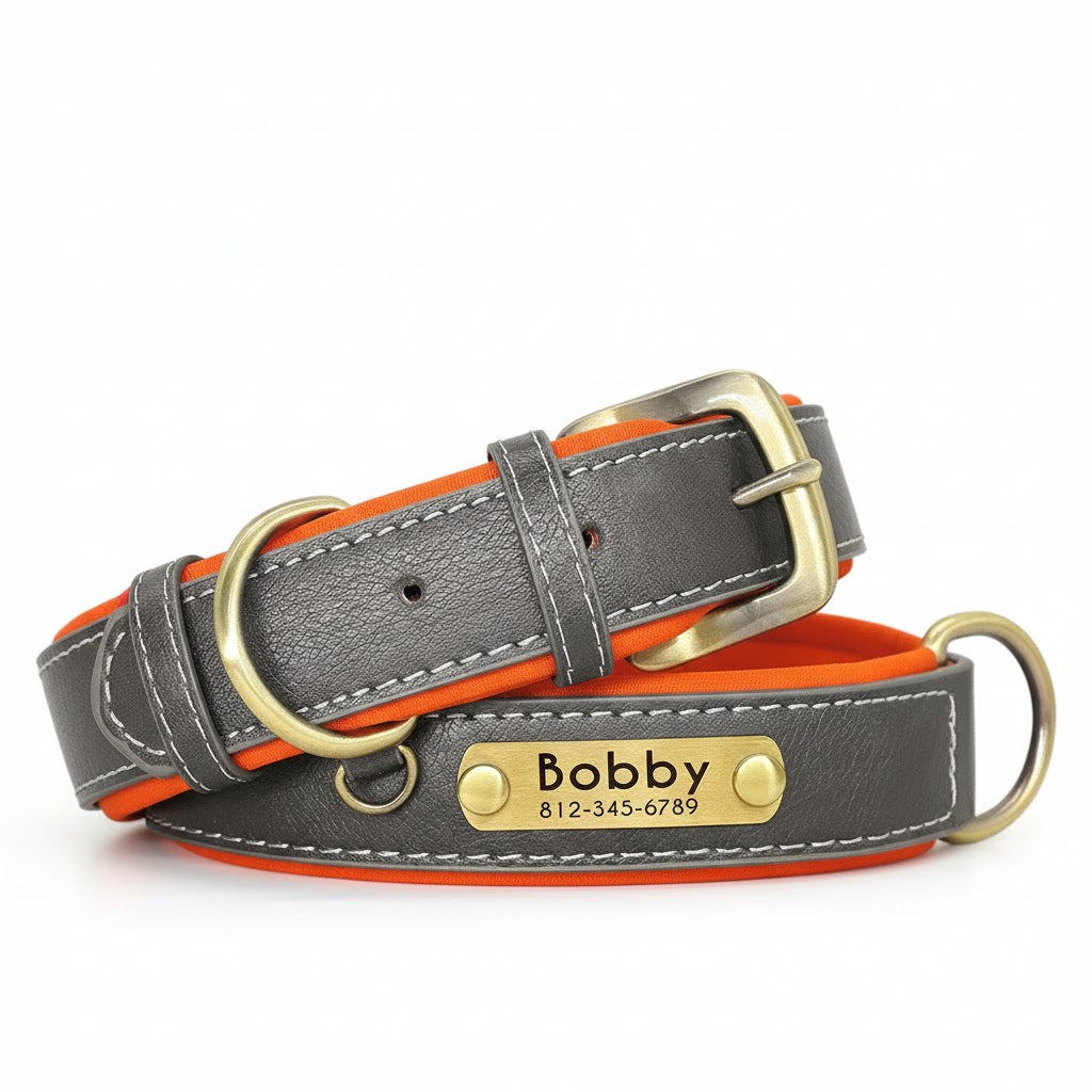 PetLo Custom Engraved PU Leather Dog Collar