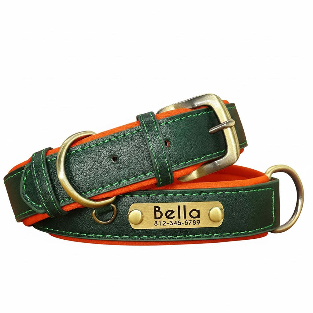 PetLo Custom Engraved PU Leather Dog Collar