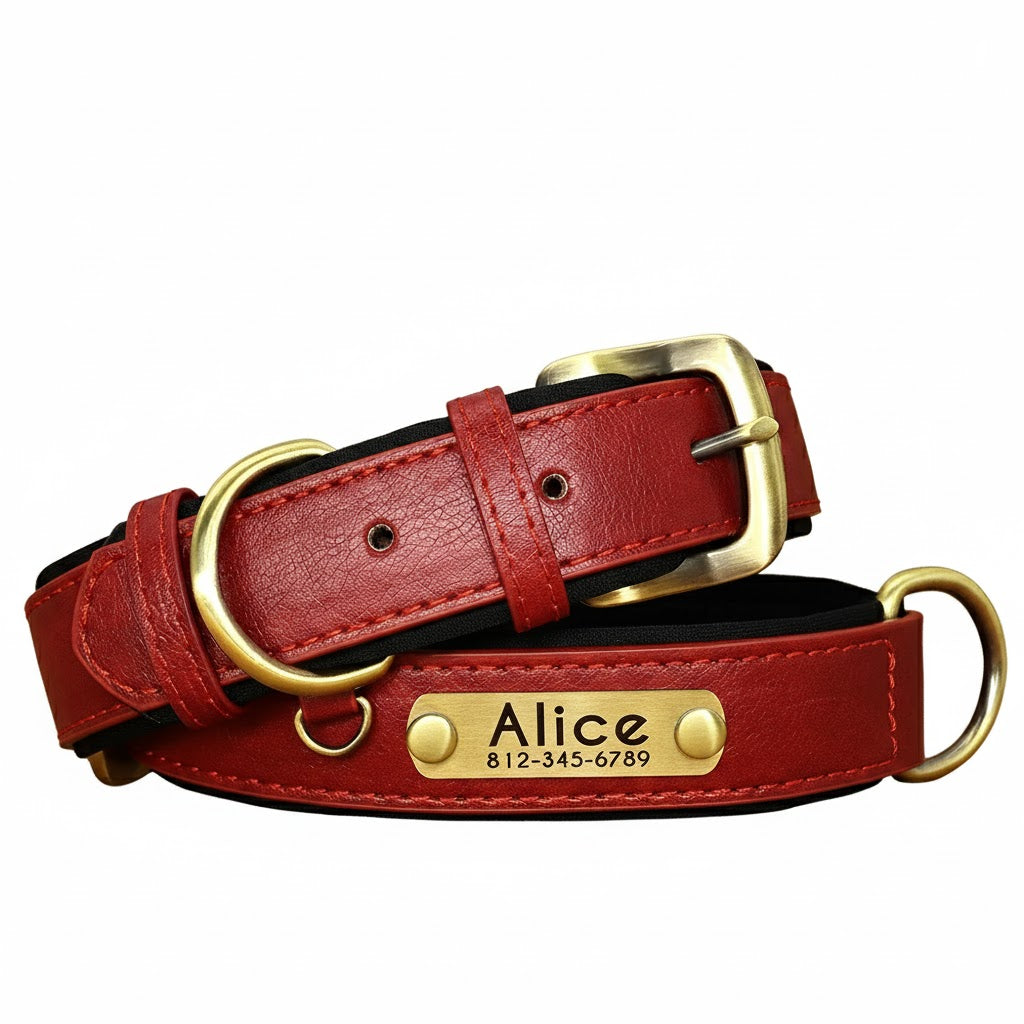 PetLo Custom Engraved PU Leather Dog Collar