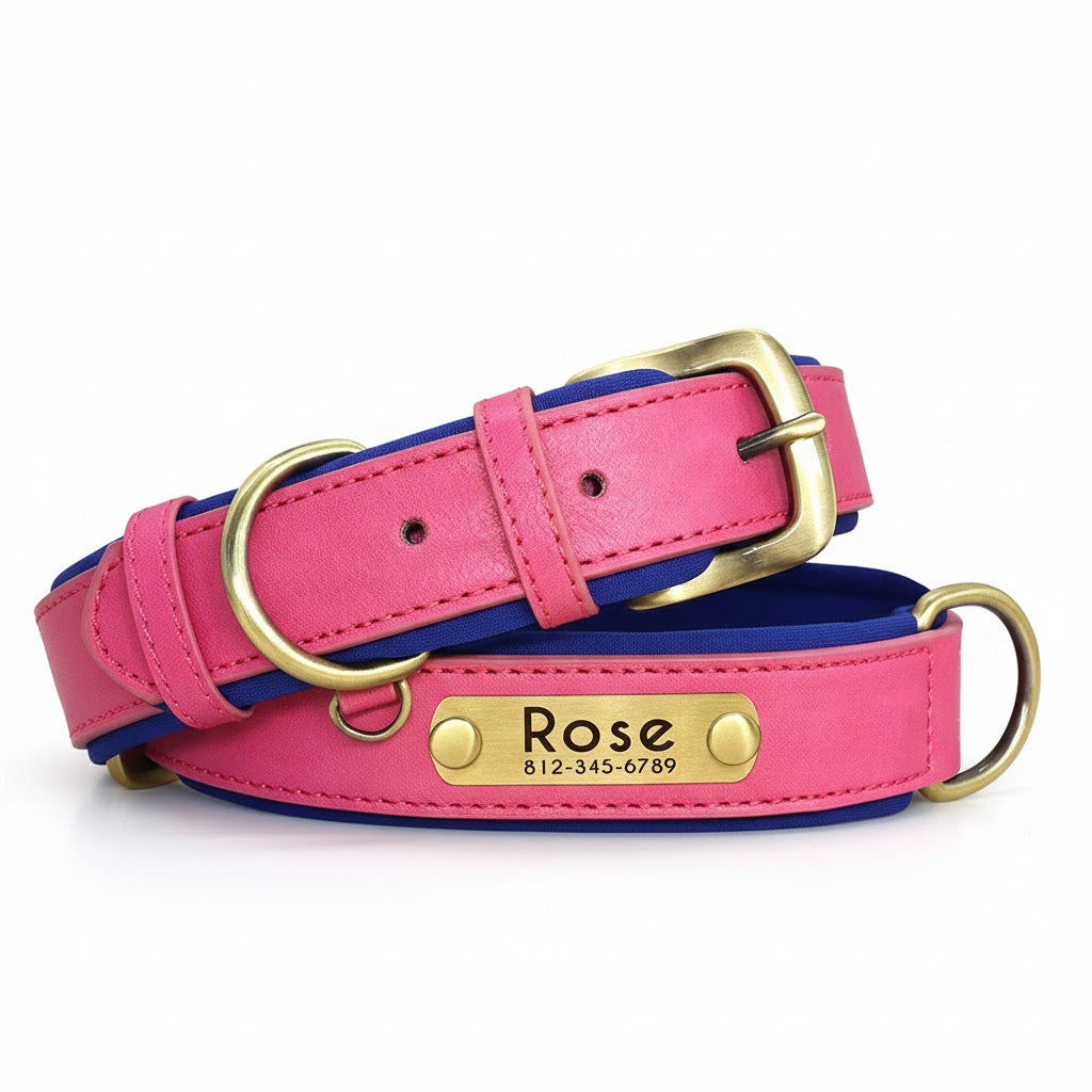 PetLo Custom Engraved PU Leather Dog Collar